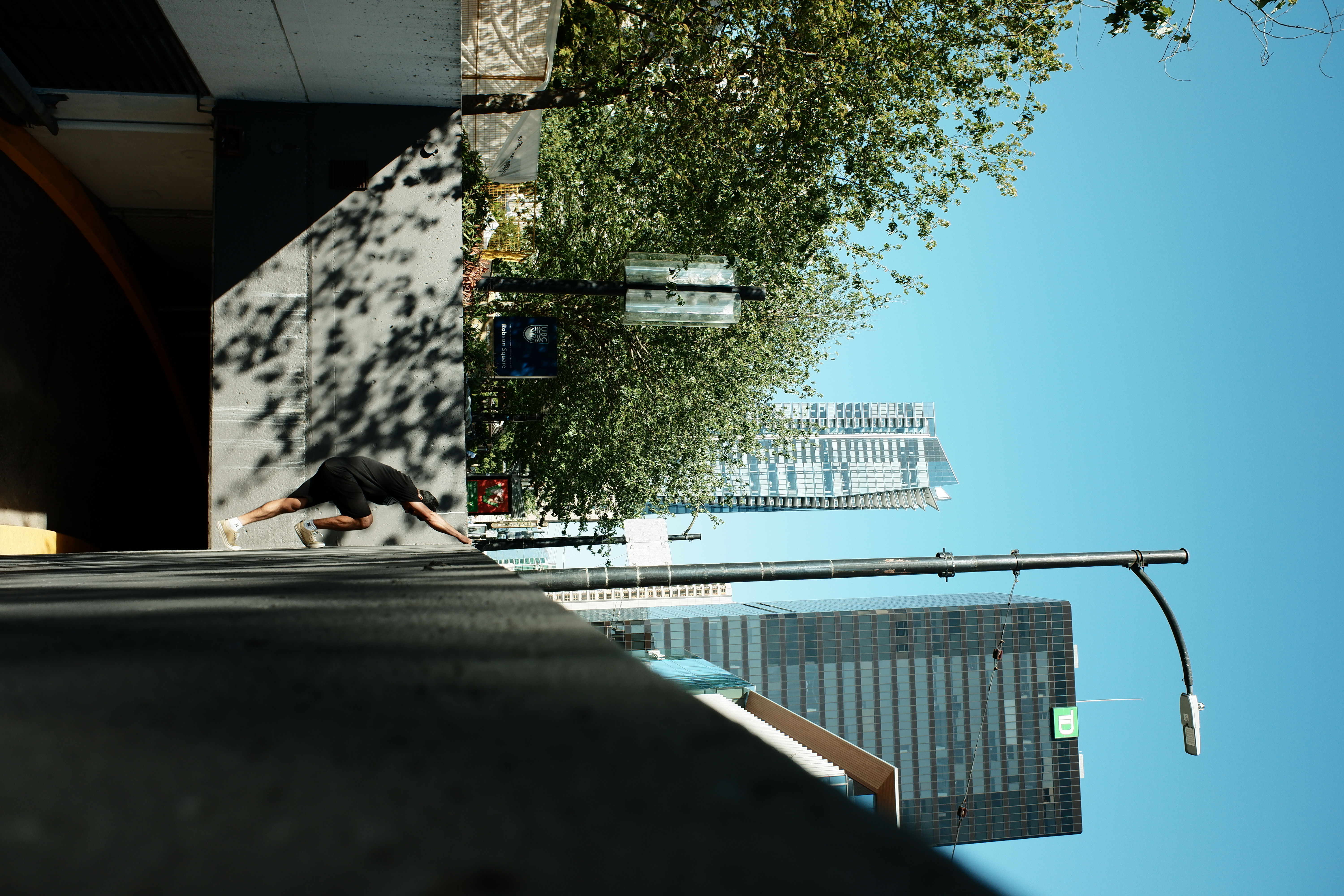 gallery-3