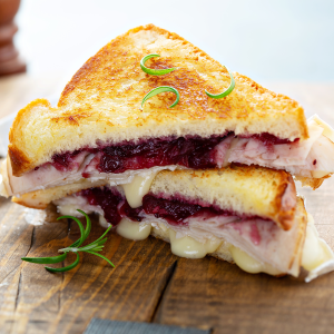 TURKEY CRANBERRY SANDWICH